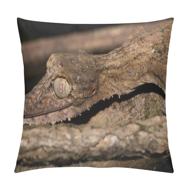 Personality  Giant Leaf-tailed Gecko, Uroplatus Fimbriatus Pillow Covers