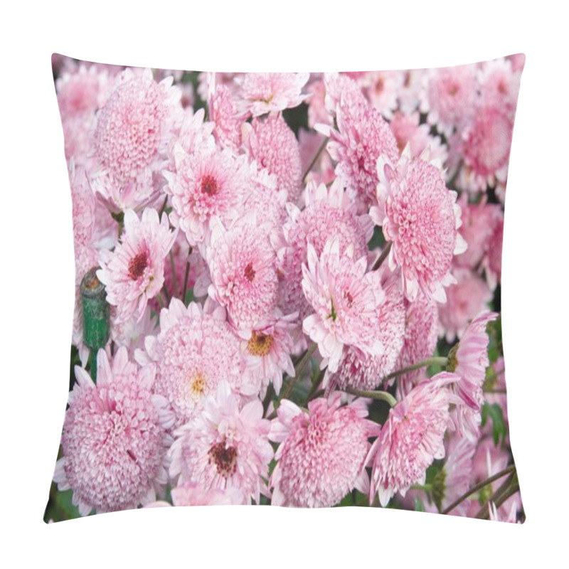 Personality  Sweet Pink Chrysanthemums. Pillow Covers