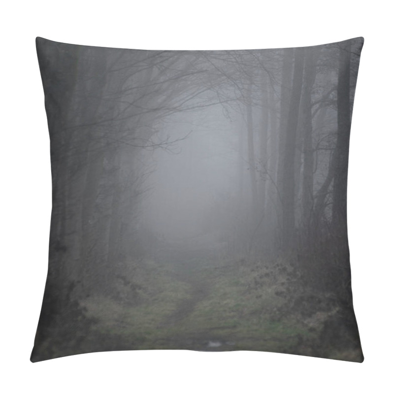 Personality  Spooky, Mystery Wet Forest Footpath Or Trail In Autumn During Foggy Weather Pillow Covers