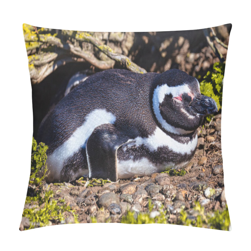 Personality  Penguins In The Pinguinera Faro Cabo Virgenes, In Argentina Pillow Covers