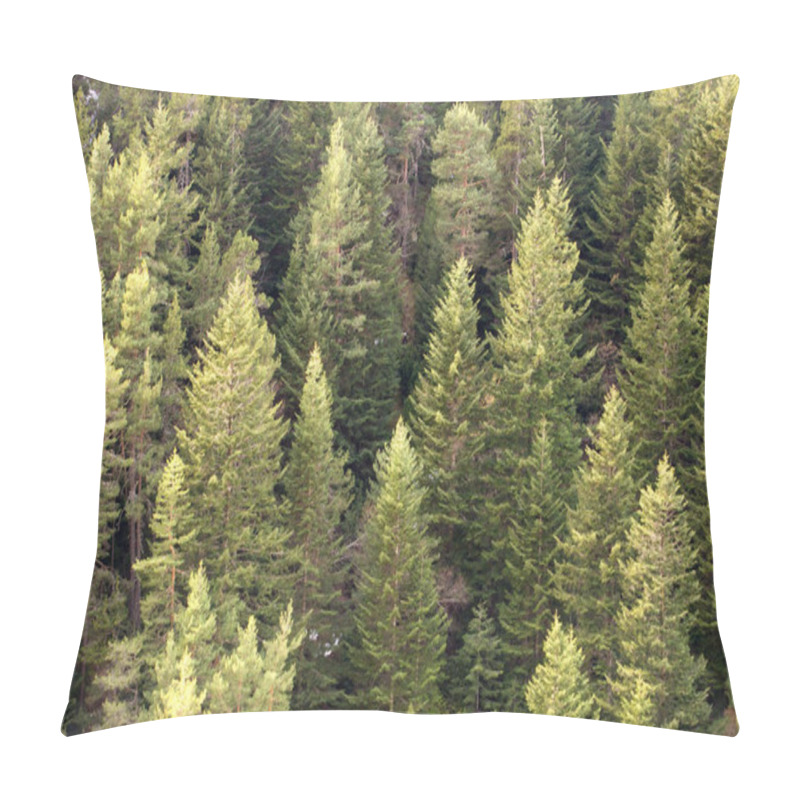 Personality  Pine Tree Forest Background Pillow Covers