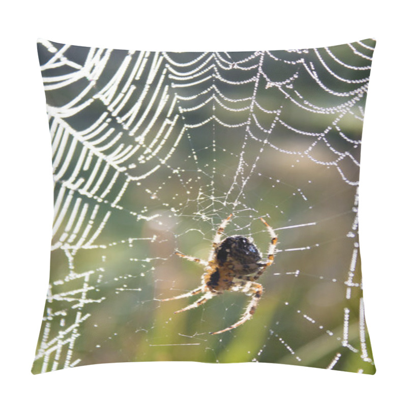 Personality  Drops Of Water Spider, Spider In It Pillow Covers