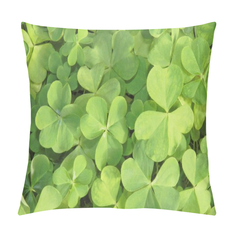 Personality  Three Leaf Clovers Pillow Covers