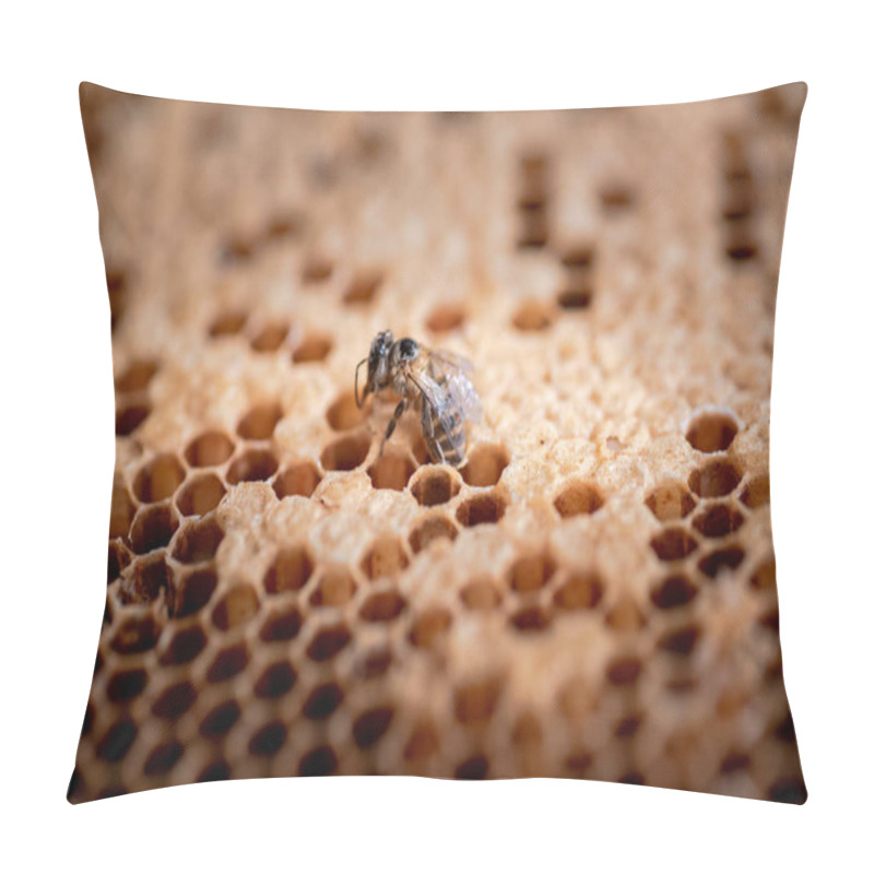 Personality  Worker Bee In Its Hive In The Wild. Pillow Covers