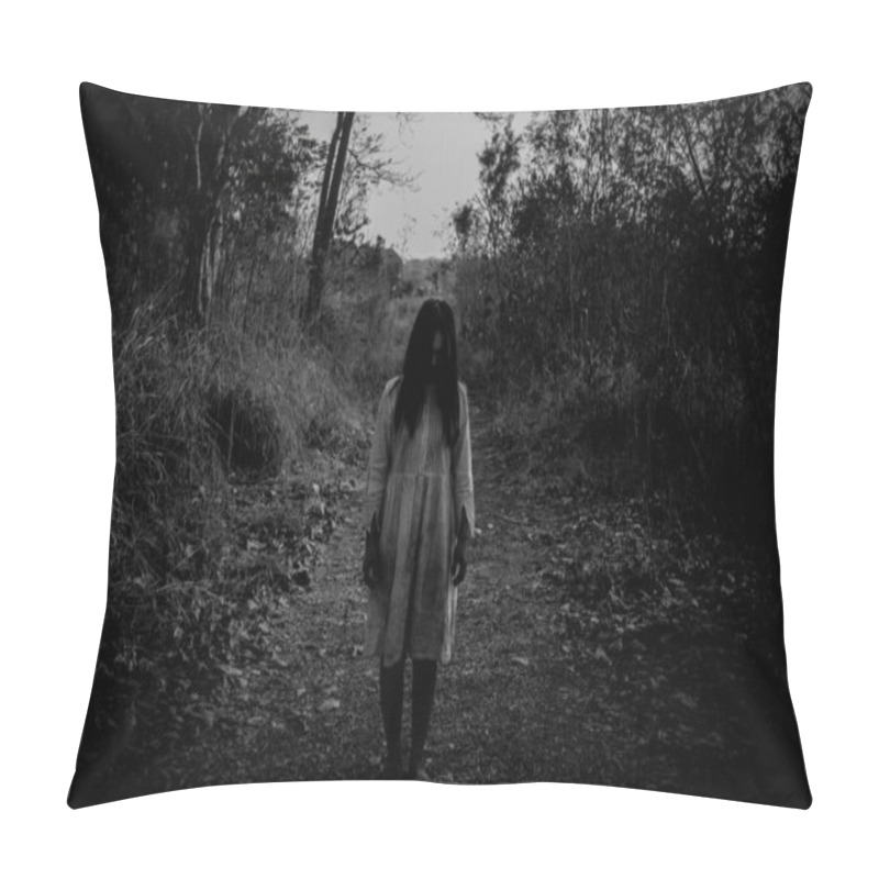 Personality  Portrait Of Asian Woman With Ghost Make Up, Horror Scene, Halloween Concept  Pillow Covers