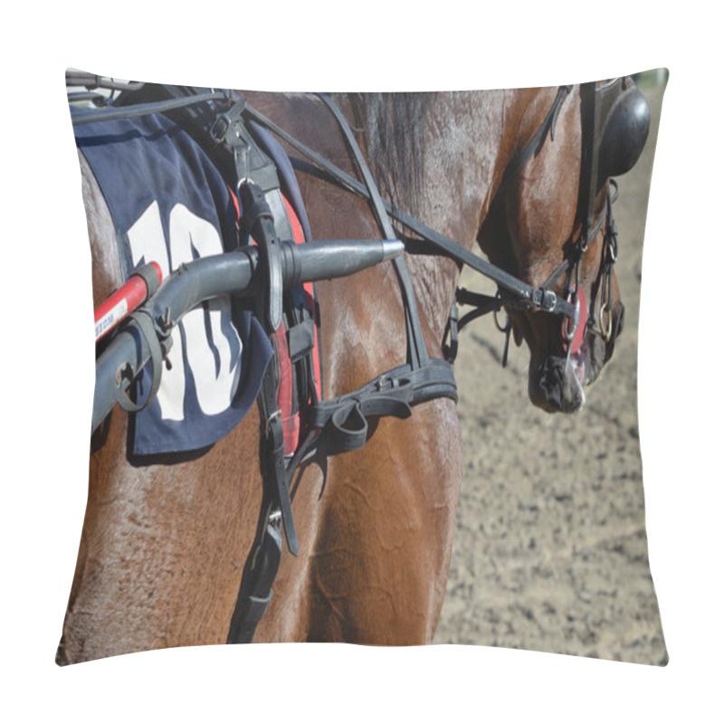 Personality  Horse Equipment Pillow Covers