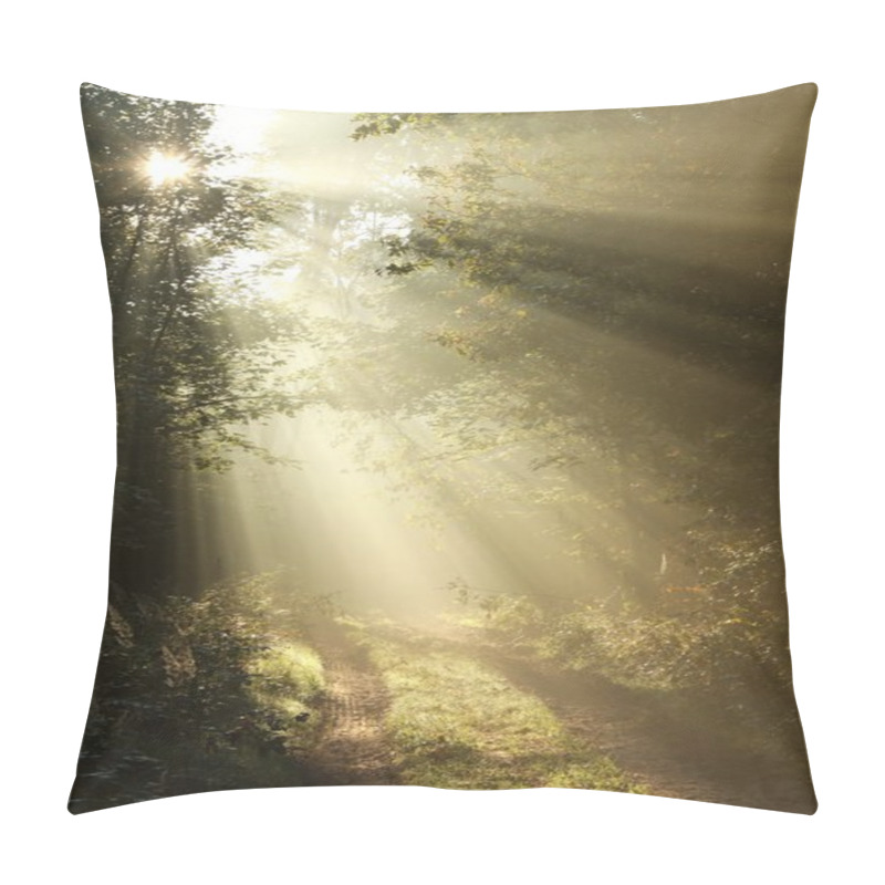 Personality  First Autumn Morning In The Misty Forest Pillow Covers