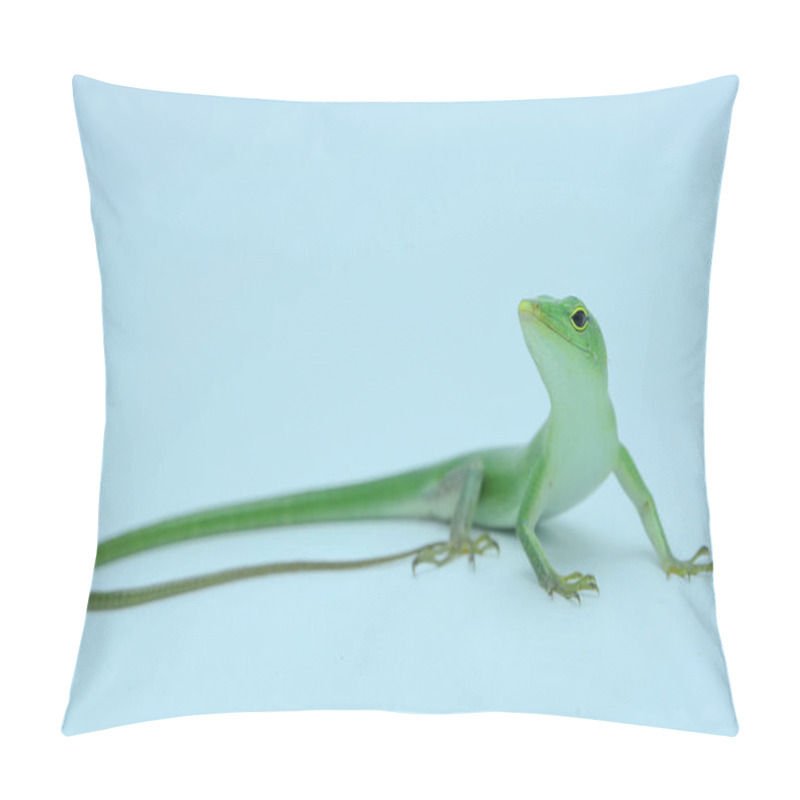 Personality  An Emerald Tree Skink (Lamprolepis Smaragdina) Is Sunbathing Before Starting Its Daily Activities. Pillow Covers