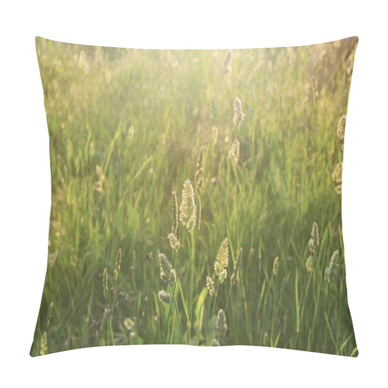 Personality  Blur Photo, Beautiful Landscape Of Nature Flowering Grass In A Rural Meadow Under Soft Flare Sunrise Morning In Summer Season Pillow Covers