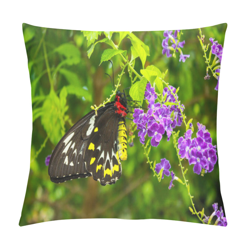 Personality  A Black And Yellow Butterfly On A Flower Pillow Covers