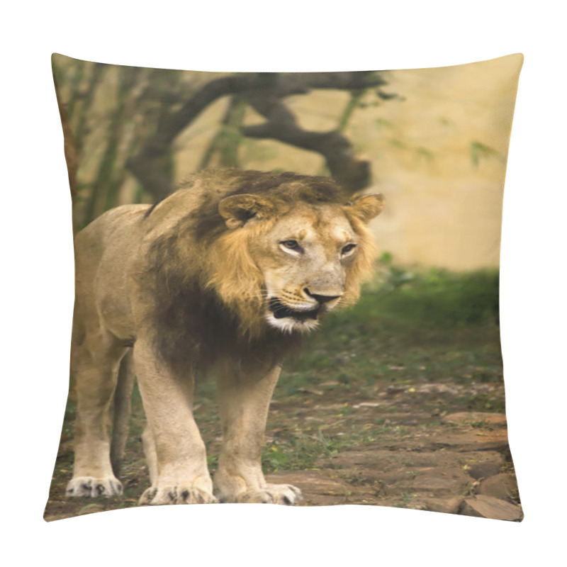 Personality  The Lion King Pillow Covers