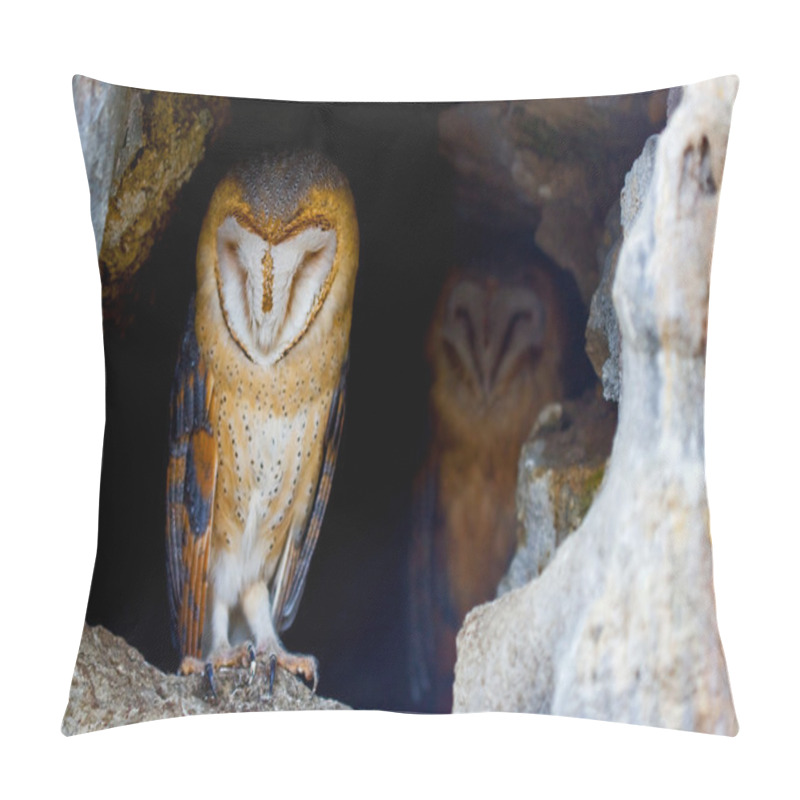 Personality  Couple Of Barn Owls Pillow Covers