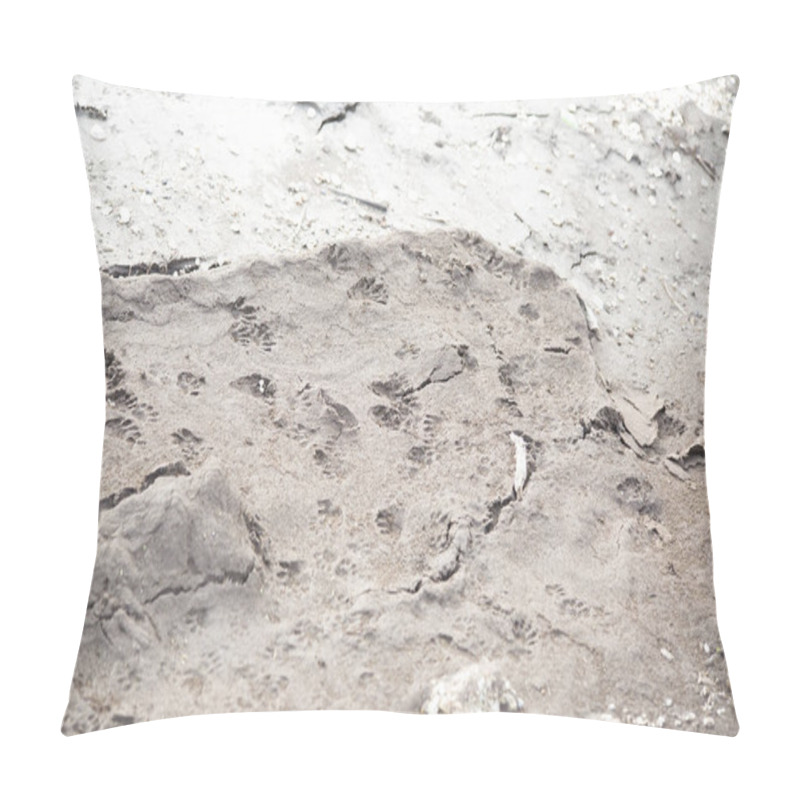 Personality  Raccoon Tracks In Dirt Pillow Covers