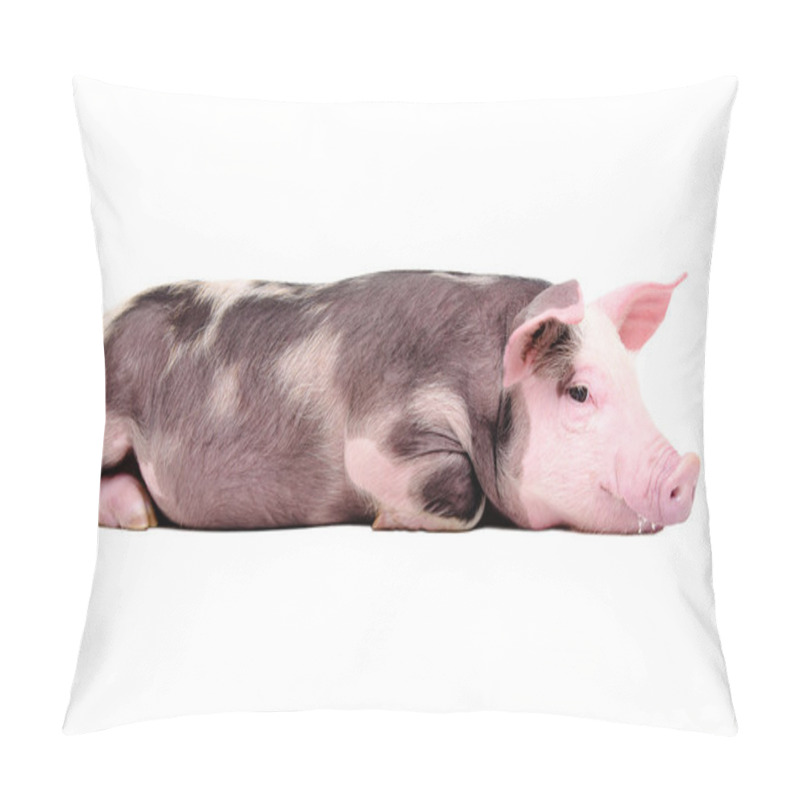 Personality  Cute Little Pig Lying Isolated On White Background Pillow Covers