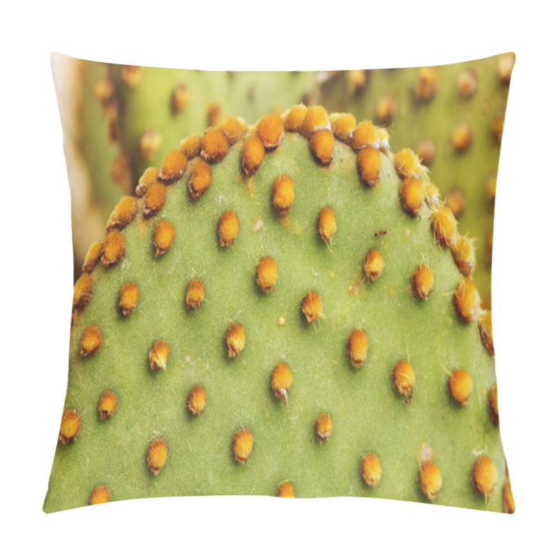 Personality  Flat Rounded Cladode Opuntia Detail ,small Hairlike Yellow Glochids ,green -yellow Color Contrast Pillow Covers