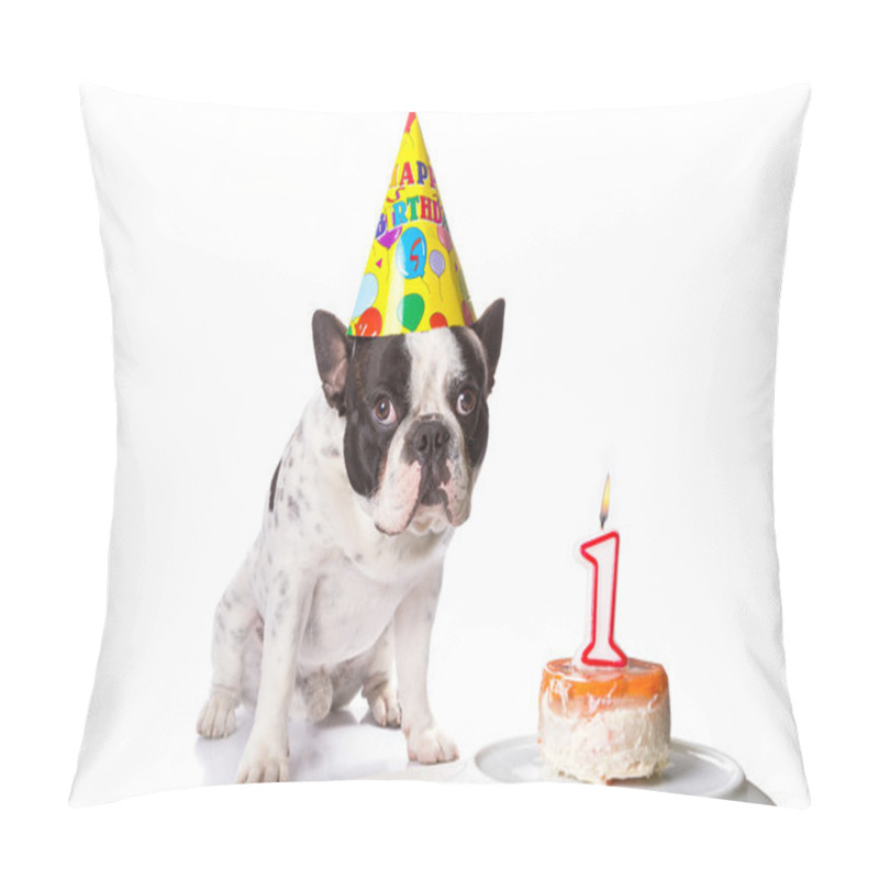 Personality  French Bulldog On His First Birthday Pillow Covers