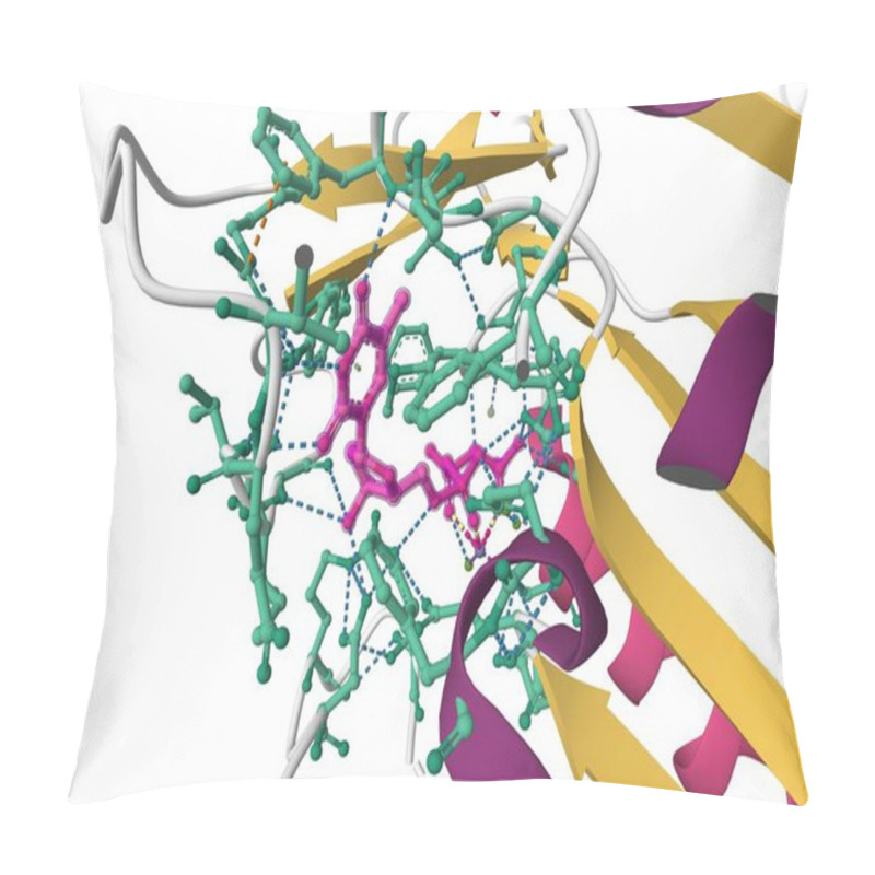 Personality  Crystal Structure Of Human Thymidine Kinase 1 Active Center With Bound Thymidine Triphosphate. 3D Cartoon Model, PDB 1xbt, White Background Pillow Covers