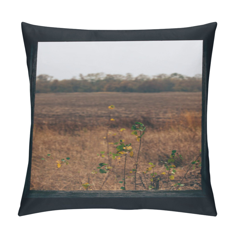 Personality  Selective Focus Of Grass On Field Behind Window Of Abandoned House Pillow Covers