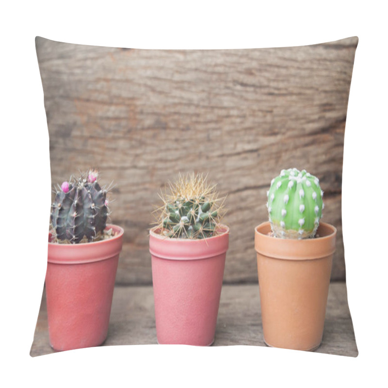 Personality  Three Pots Of Variety Cactus On Wooden Table Pillow Covers