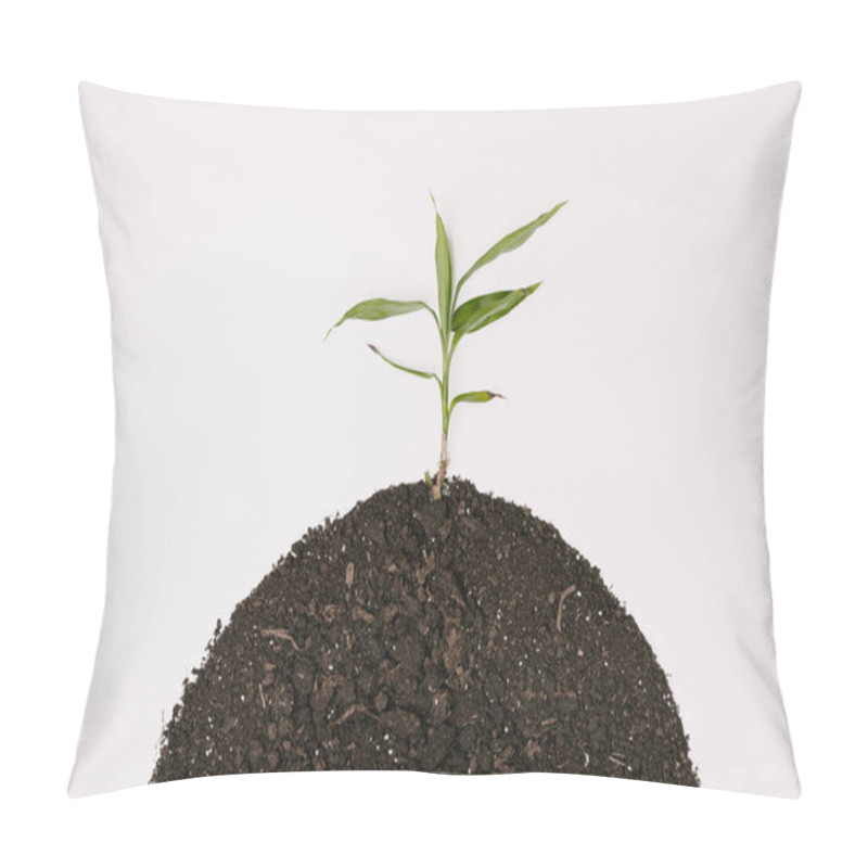 Personality  Earth Day Pillow Covers