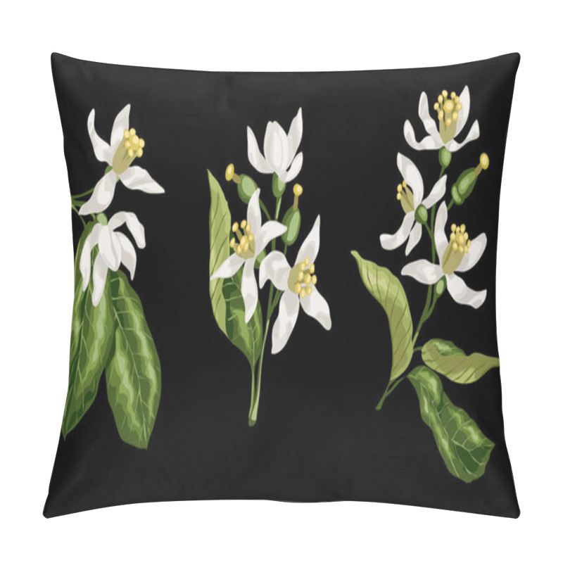 Personality  Set Of Citrus Flower Branches Of Orange, Lemon, Lime Fruit Tree  Pillow Covers