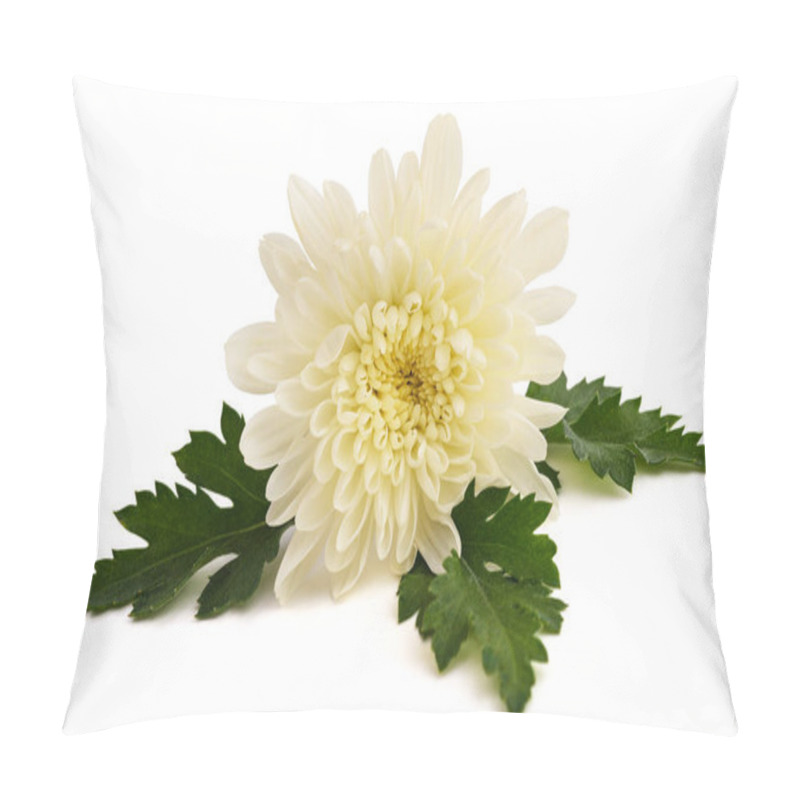 Personality  White Chrysanth Flower Isolated On White Background Pillow Covers