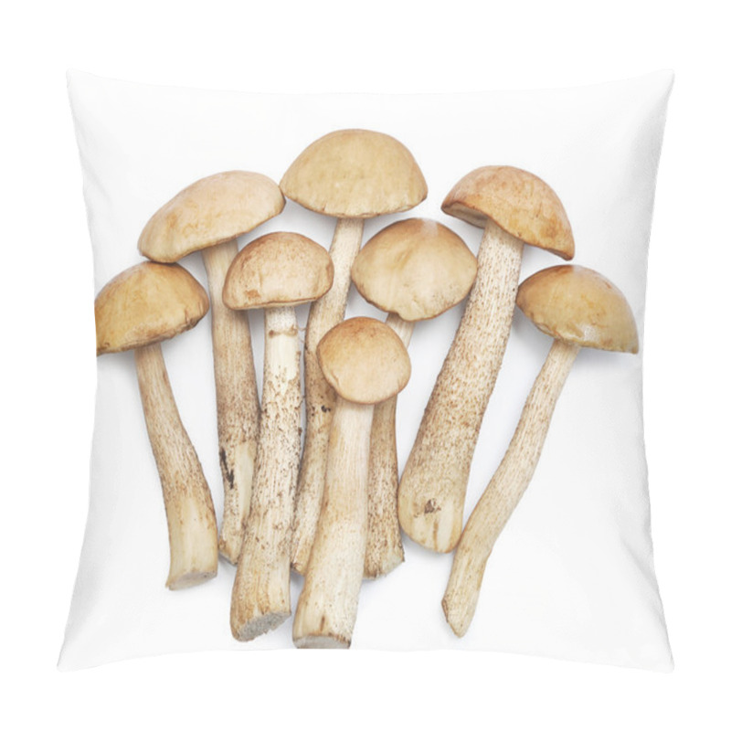 Personality  Set Of Images With Mushrooms Pillow Covers