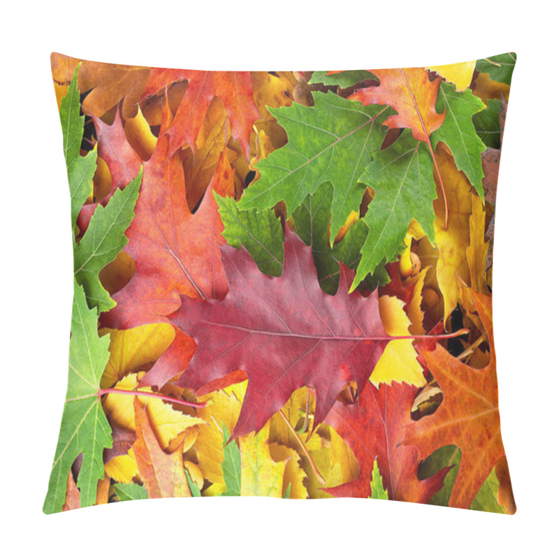 Personality  Colorful Various Autumn Fallen Leaves On The Ground. Yellow, Orange, Green And Red October Autumn Leaves. Pillow Covers