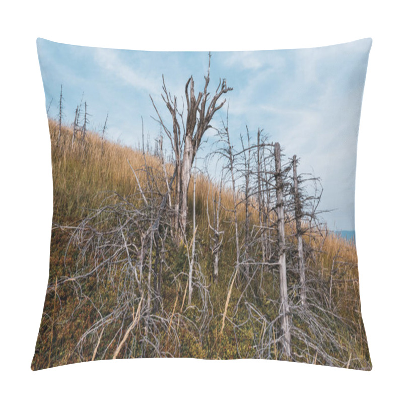 Personality  Dry Twigs On Trees In Golden Barley Field Against Sky  Pillow Covers