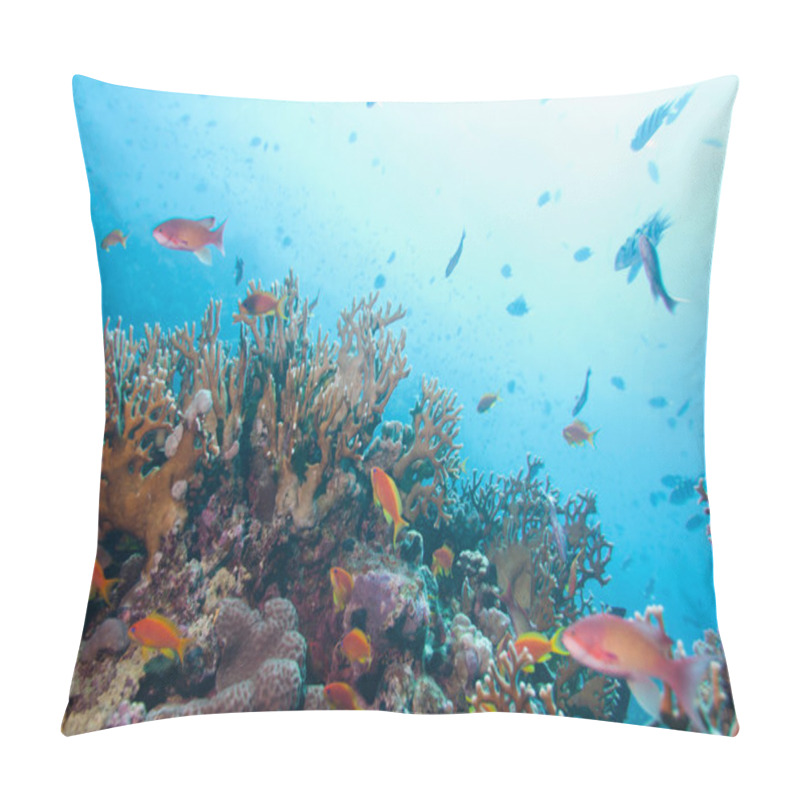 Personality  Marine Life With Tropical Corals Pillow Covers