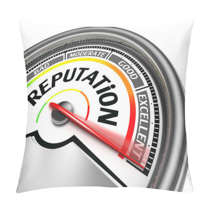 Personality  Reputation Conceptual Meter Pillow Covers