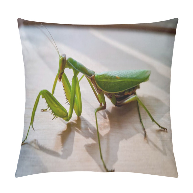 Personality  Large Green Praying Mantis.A Large Green Grasshopper Is A Female Praying Mantis. Pillow Covers