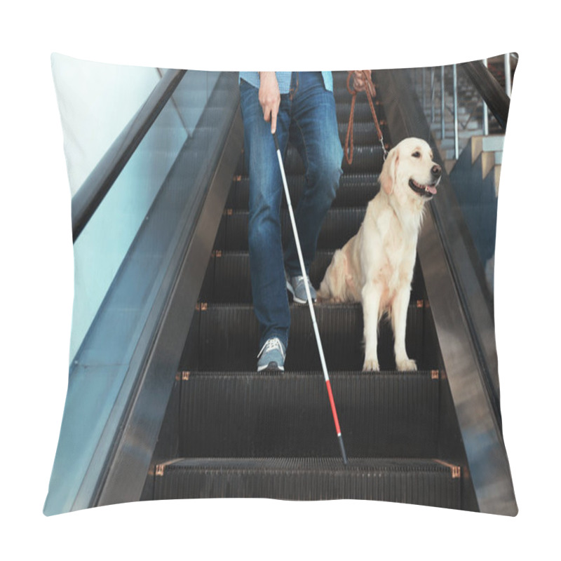 Personality  Blind Person With Long Cane And Guide Dog On Escalator Indoors Pillow Covers