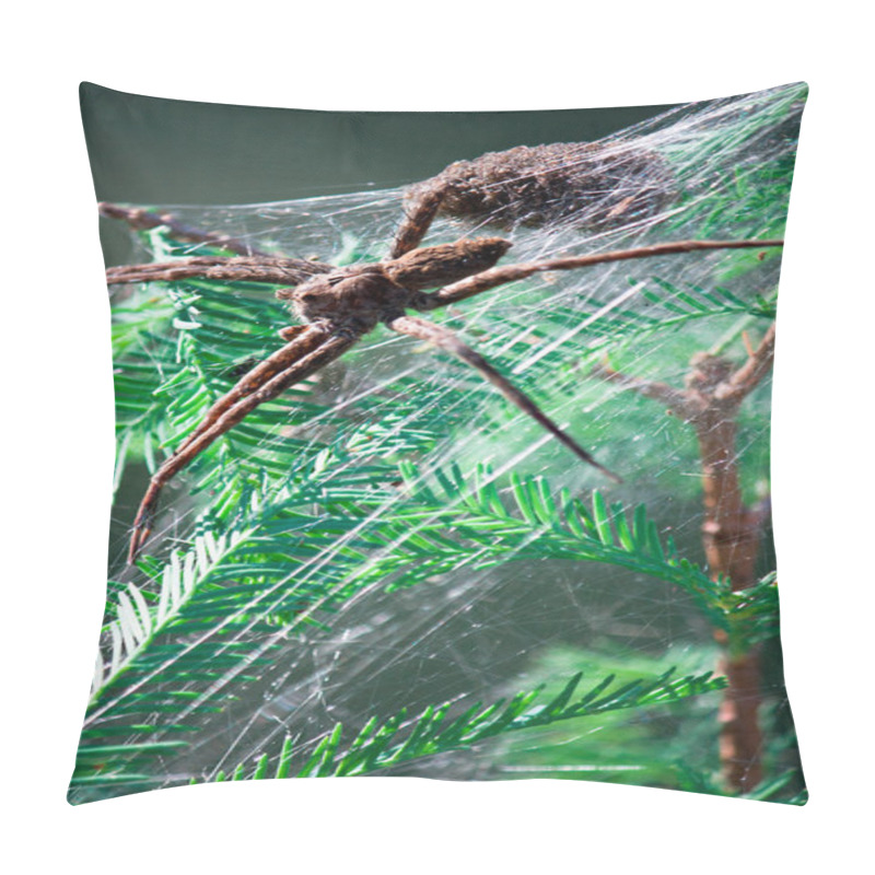 Personality  Large Female Fishing Spider With Babies Pillow Covers