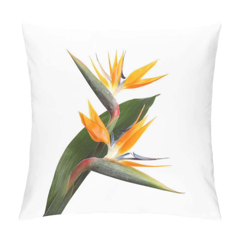 Personality  Bird Of Paradise Tropical Flowers Isolated On White Pillow Covers