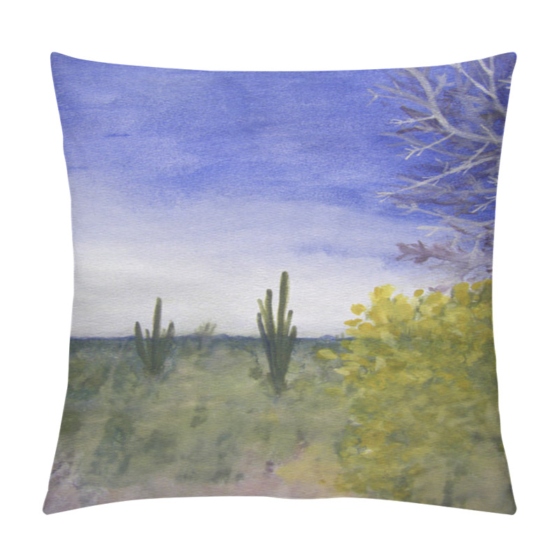 Personality  A Day In The Arizona Desert Pillow Covers