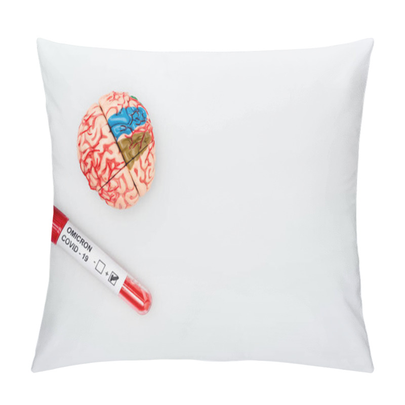 Personality  Top View Of Brain Model And Test Tube With Positive Result Of Covid-19 Omicron Variant On Grey Background Pillow Covers