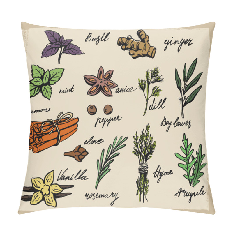 Personality  Vector Spices And Herbs Pillow Covers