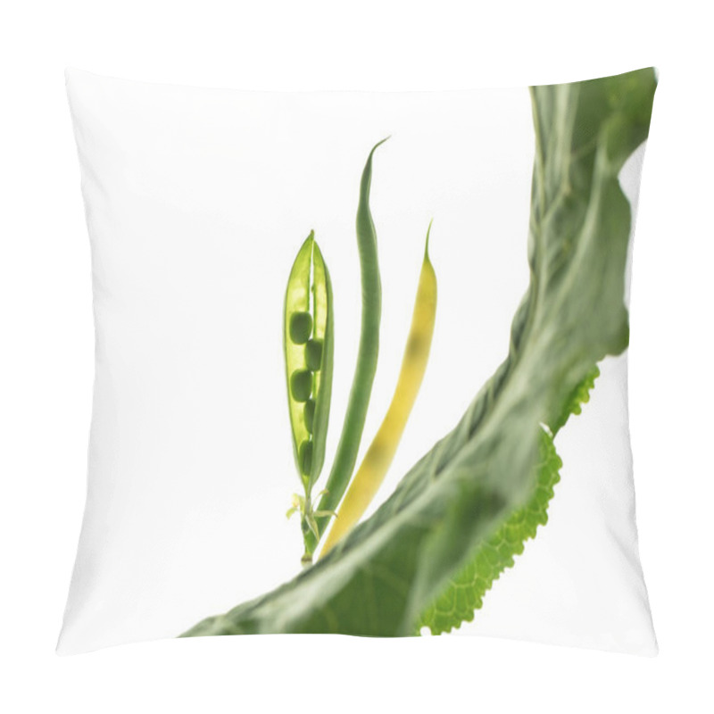 Personality  Beautiful Composition With Pea Pods Pillow Covers