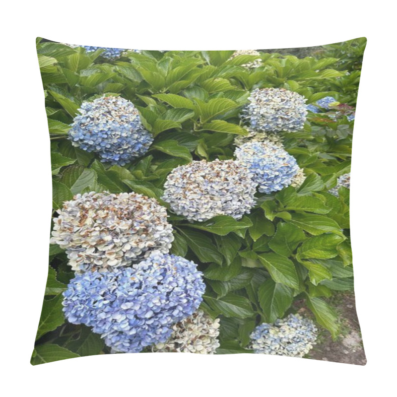 Personality  A Vibrant Bush Of Blue Hydrangeas In Full Bloom, Displaying Lush Green Leaves And Clusters Of Delicate Flowers With Hints Of White And Purple Hues, Creating A Serene Scene Of Natural Beauty. Pillow Covers