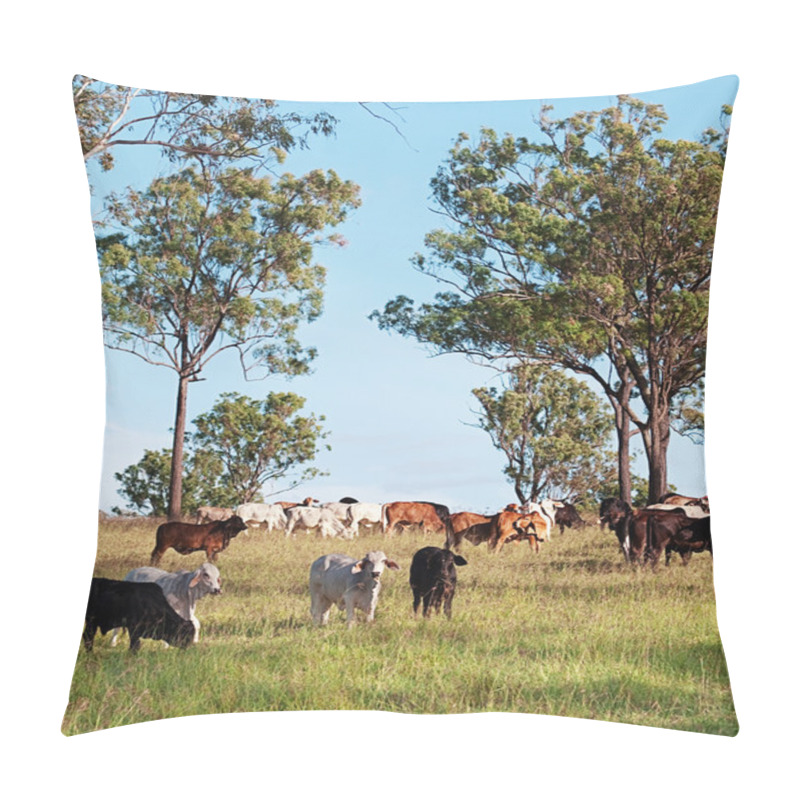 Personality  Herd Of Beef Cattle Pillow Covers