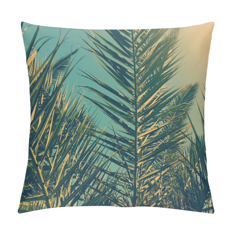 Personality  Palm Tree Leaves And The Sky, Summertime Travel Background Pillow Covers