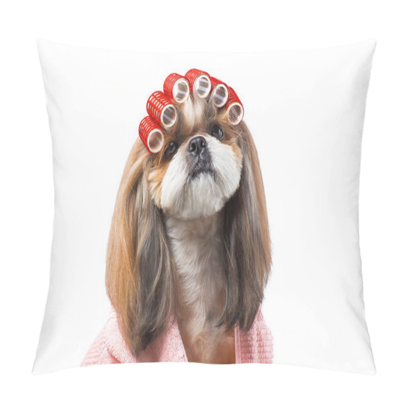 Personality  Beautiful Shih-tzu Dog At The Groomer's Hands With Comb. Pillow Covers