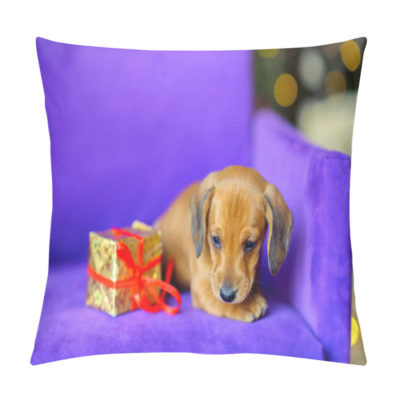 Personality  2018 Year Of The Dog Pillow Covers