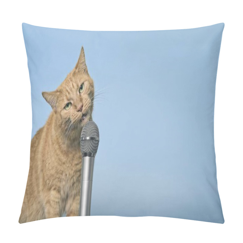 Personality  Funny Red Cat Making Funny Face And Singing In Microphone. Panoramic Image With Copy Space. Pillow Covers