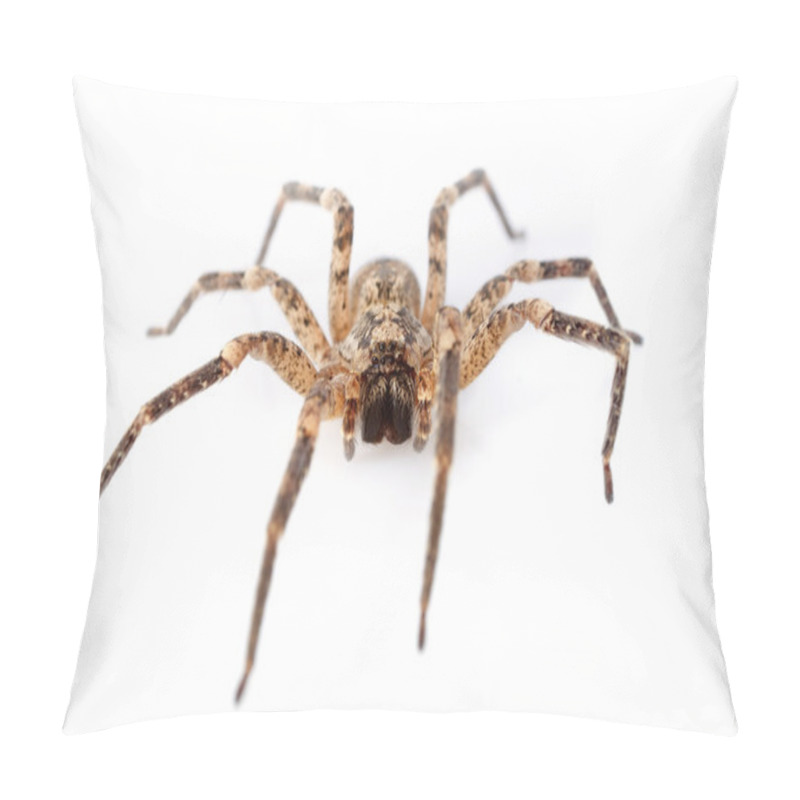 Personality  House Spiders Pillow Covers