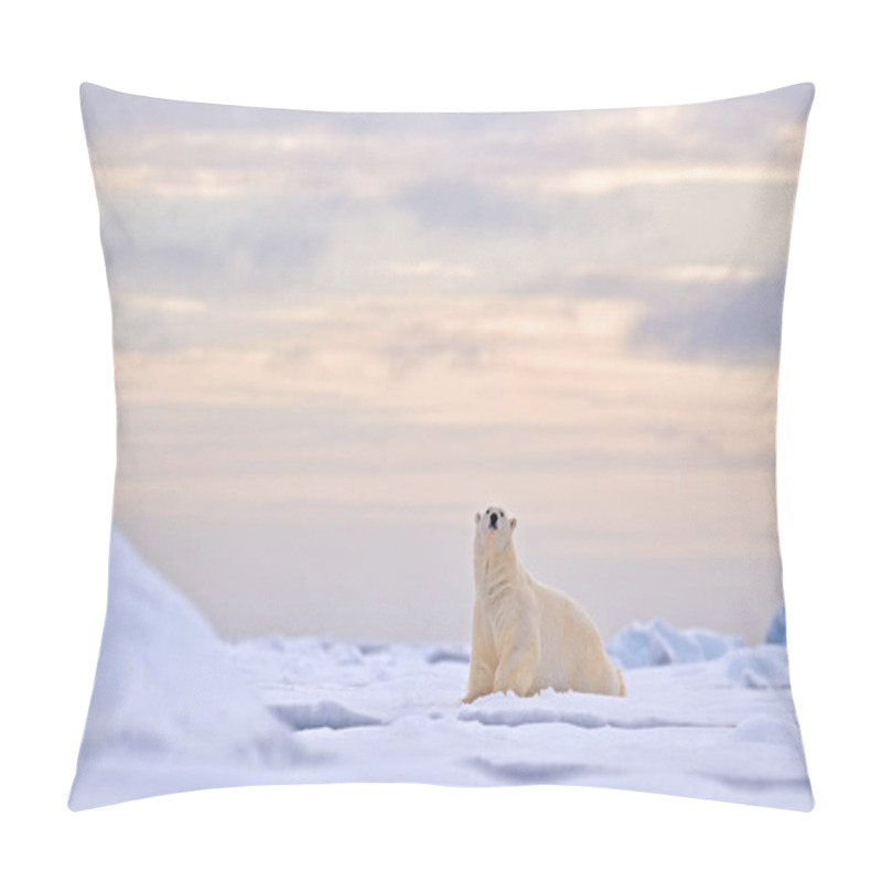 Personality  Polar Bears In The Arctic White Bear Feeding On Drift Ice With Snow, Alaska, USA. Bloody Nature With Big Animals. Dangerous Baer With Carcass. Arctic Wildlife, Animal Food Behaviour. Pillow Covers