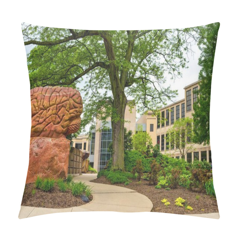 Personality  The Secluded Brain Plaza On The Kent State University Campus Is Anchored By A Sculpture Of A Giant Brain And Lined With Shelves Of Books Carved In Stone. Pillow Covers