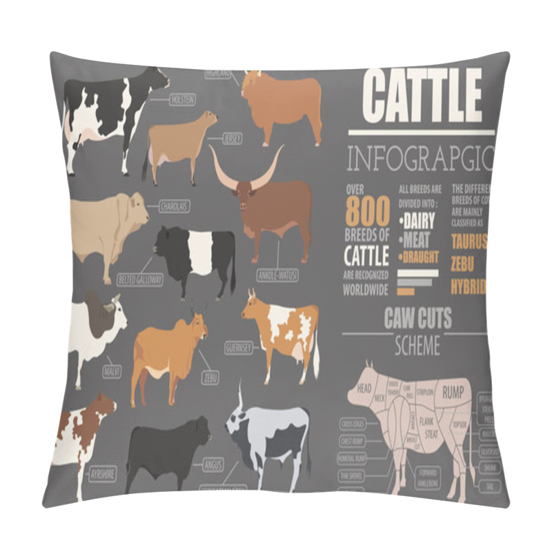 Personality  Cattle Breeding Infographic Template. Flat Design Pillow Covers