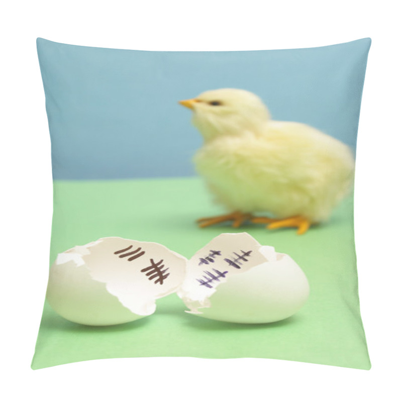 Personality  Sweet Freedom Pillow Covers